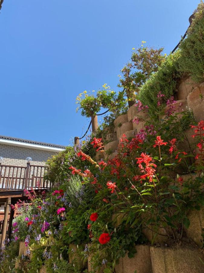 Wilderness Oceanview Villa ภายนอก รูปภาพ